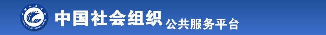 操鸡逼全国社会组织信息查询